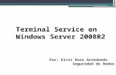 Terminal service elvis