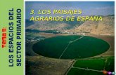 3   Paisajes Agrarios De EspañA