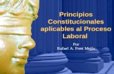 Principios Constitucionales en Proceso Laboral