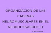 Neurod  Cadenas