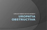 Uropatia obstructiva