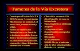 Tumor Via Excretora Vejiga..imagenes , radiología
