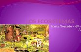 Los Ecosistemas  Marta Tostado