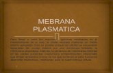 Mebrana plasmatica celula