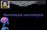 Cerebelo semiologia