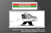 Politicas publicas y privadas