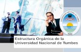 Estructura orgánica de la universidad nacional de tumbes