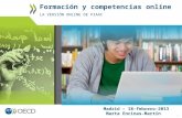 Jornada PIAAC 19 Feb 2014 "Formación y competencias on line". La versión online de PIAAC. Marta Encinas. Analista OCDE.