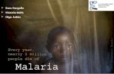 Salud / Malaria