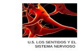 U5 Sistema Nervioso
