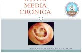 Otitis media cronica