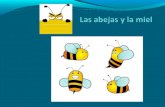 Las abejas y la miel, Pablo