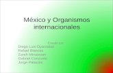 Mexico y Organizaciones internacionales (Cucuta)
