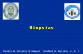 Clase teórica biopsia