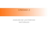 Unidad 2 analisis formas naturales
