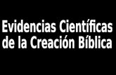 Evidencias cientìficas del creacionismo