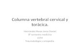 Columna Vertebral Cervical Y ToráCica