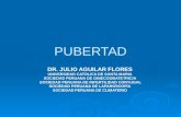 Pubertad, amenorrea, endometriosis, alteraciones endocrinológicas