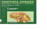 Anatomia humana   descriptiva topografica funcional 10º edicion - rouviere - delmas - masson cabeza y cuello