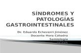 Síndromes y patologías gastrointestinales