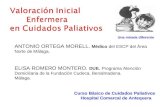 valoración enfermera por Dr Antonio Ortega Morell y D. Elisa Romero