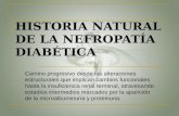 Historia natural de la nefropatía diabética