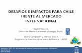 Desafíos e impactos para Chile frente al mercado internacional, Raúl O'Ryan, PNUD