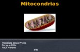 Mitocondrias grupo 5 4ºb 2010