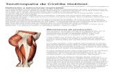 Tendinopatía de Cintilla Iliotibial (Resumen).