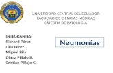 Exposicion neumonia y tuberculosis