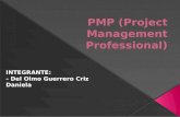 Pmp (project management professional)