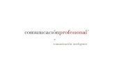 Presentación Comunicación Profesional 2012