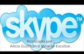 Skype un ejemplo de la web 2.0