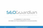 SEOGuardian - E-Commerce de Floristerías - Informe SEO y SEM