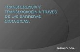 TRANSFERENCIA Y TRANSLOCACIÓN A TRAVES DE LAS BARRERAS BIOLOGICAS.