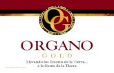Organo Gold Perú 10k