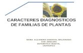 Caracteres Diagnosticos De Familias De Plantas