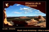 La ola del_desierto_milagrosdelanaturaleza_en_arizona