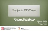 Presentació del programa PDT-sm