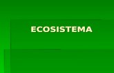 Ecosistema presentación