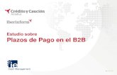 Estudio plazos de pago b2b España -  oct 2014