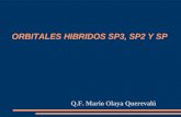 Orbitales sp3 sp2 sp 1