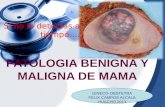 Patologia mamaria maligna unjfsc 2012