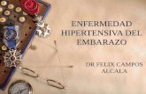 Enfermedad Hipertensiva Del Embaraz Odic 2007 Dr Campos