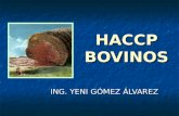 Haccp en Bovinos
