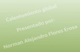 Proyecto Norman Flores