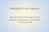 Proyecto  Los Insectos
