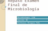 Microbiología médica (repaso)