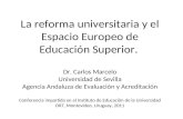 La reforma universitaria y el espacio europeo de educación superior