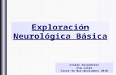 Exploración neurologica básica